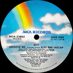 Guy Groove Me Vinyl 12" USED