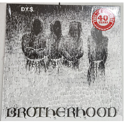 DYS Brotherhood Vinyl LP USED