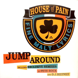 House Of Pain Jump Around Vinyl 12" USED
