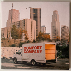 Bearings (2) Comfort Company Vinyl LP USED