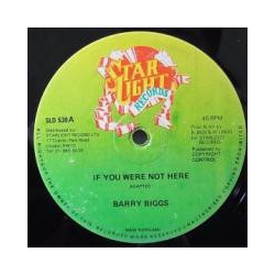 Barry Biggs If You Were Not Here Vinyl 12" USED