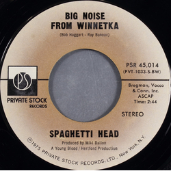 Spaghetti Head Big Noise From Winnetka Vinyl 7" USED