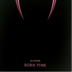 BLACKPINK Born Pink Vinyl LP USED