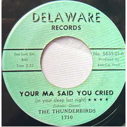 The Thunderbirds (2) Your Ma Said You Cried (In Your Sleep Last Night) / Before It's Too Late Vinyl 7" USED