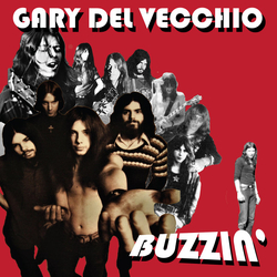 Gary Del Vecchio Buzzin’ Vinyl LP USED