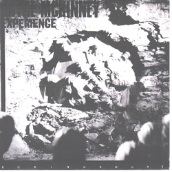 The Joyce McKinney Experience Boring Rock! Vinyl 7" USED