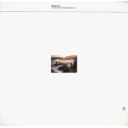 Midge Ure Call Of The Wild (Extended Mix) Vinyl 12" USED