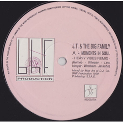 J.T. And The Big Family Moments In Soul Vinyl 12" USED