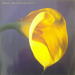 Swans The Burning World Vinyl LP USED