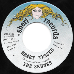 The Skunks (2) Heart Teaser Vinyl 7" USED