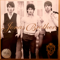 Jonas Brothers Jonas Brothers Vinyl LP USED