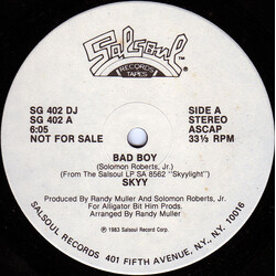 Skyy Bad Boy VINYL 12" USED