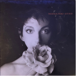 Kate Bush The Sensual World Vinyl LP USED
