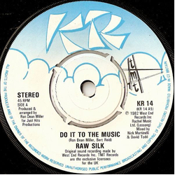 Raw Silk Do It To The Music Vinyl 7" USED
