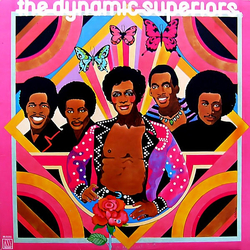 Dynamic Superiors The Dynamic Superiors Vinyl LP USED