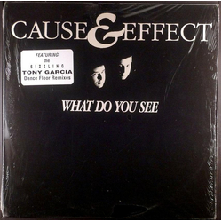 Cause & Effect What Do You See Vinyl 12" USED