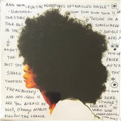 Erykah Badu Worldwide Underground Vinyl LP USED