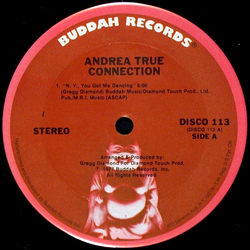 Andrea True Connection N.Y., You Got Me Dancing Vinyl 12" USED