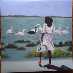 Sunny War Armageddon In A Summer Dress Vinyl LP USED