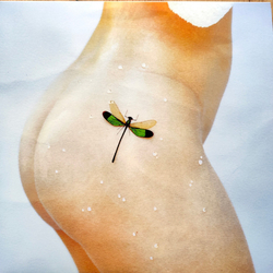 Kacy Hill Bug Vinyl LP USED