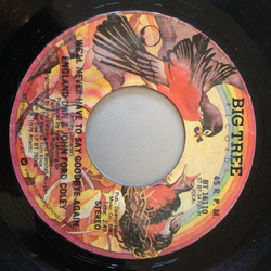 England Dan & John Ford Coley We'll Never Have To Say Goodbye Again Vinyl 7" USED