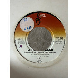 Fat Larry's Band Zoom Vinyl 7" USED