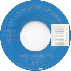 Juicy After Loving You / Private Party Vinyl 7" USED