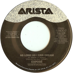 Exposé As Long As I Can Dream Vinyl 7" USED