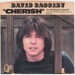 David Cassidy Cherish / All I Wanna Do Is Touch You USED VINYL 7INCH 45 RPM SINGLE MONO