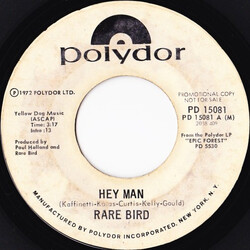 Rare Bird Hey Man USED VINYL 7INCH 45 RPM PROMO