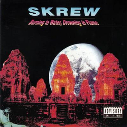 Skrew Burning In Water, Drowning In Flame Vinyl LP USED
