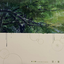 Motohiro Hata 言ノ葉 Vinyl LP USED