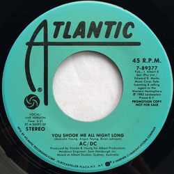 AC/DC You Shook Me All Night Long Vinyl 7" USED
