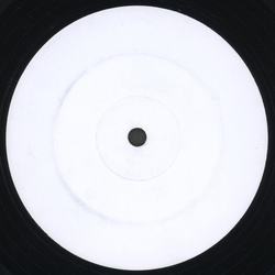 Camisra / Mauro Picotto Lizard Without Scales Vinyl 12" USED