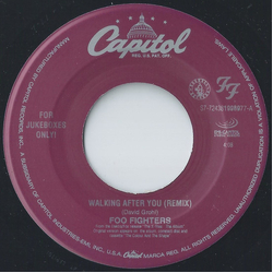 Foo Fighters Walking After You Vinyl 7" USED