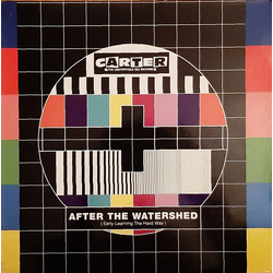 Carter The Unstoppable Sex Machine After The Watershed (Early Learning The Hard Way) Vinyl 12" USED