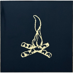Frank Turner Campfire Punkrock Twenty Vinyl LP USED