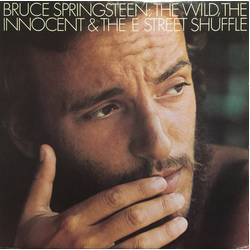 Bruce Springsteen The Wild, The Innocent & The E Street Shuffle Vinyl LP USED
