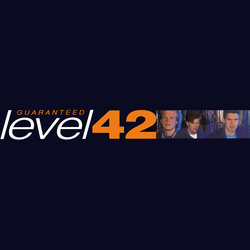 Level 42 Guaranteed Vinyl 12" USED