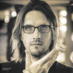 Steven Wilson Transience Vinyl 2 LP USED