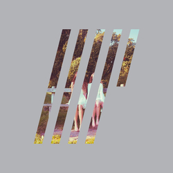 Steven Wilson 4½ Vinyl LP USED