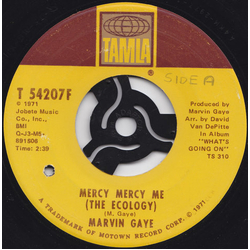 Marvin Gaye Mercy Mercy Me (The Ecology) Vinyl 7" USED