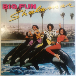 Shalamar Big Fun Vinyl LP USED