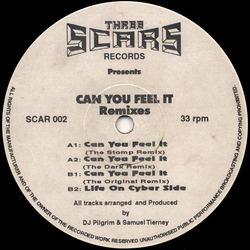 DJ Pilgrim / Sam Tierney Can You Feel It (Remixes) Vinyl 12" USED