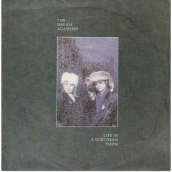 The Dream Academy Life In A Northern Town Vinyl 7" USED