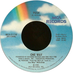One Way Push / All Over Again Vinyl 7" USED