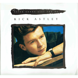 Rick Astley Never Gonna Give You Up Vinyl 12" USED