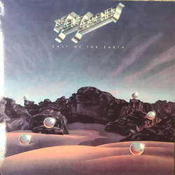 The Soul Searchers Salt Of The Earth Vinyl LP USED