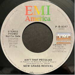 New Grass Revival Ain't That Peculiar USED VINYL 7INCH 45 RPM PROMO