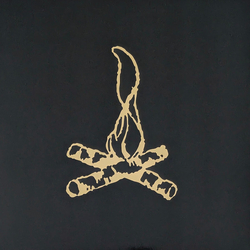 Frank Turner Campfire Punkrock Twenty Vinyl LP USED